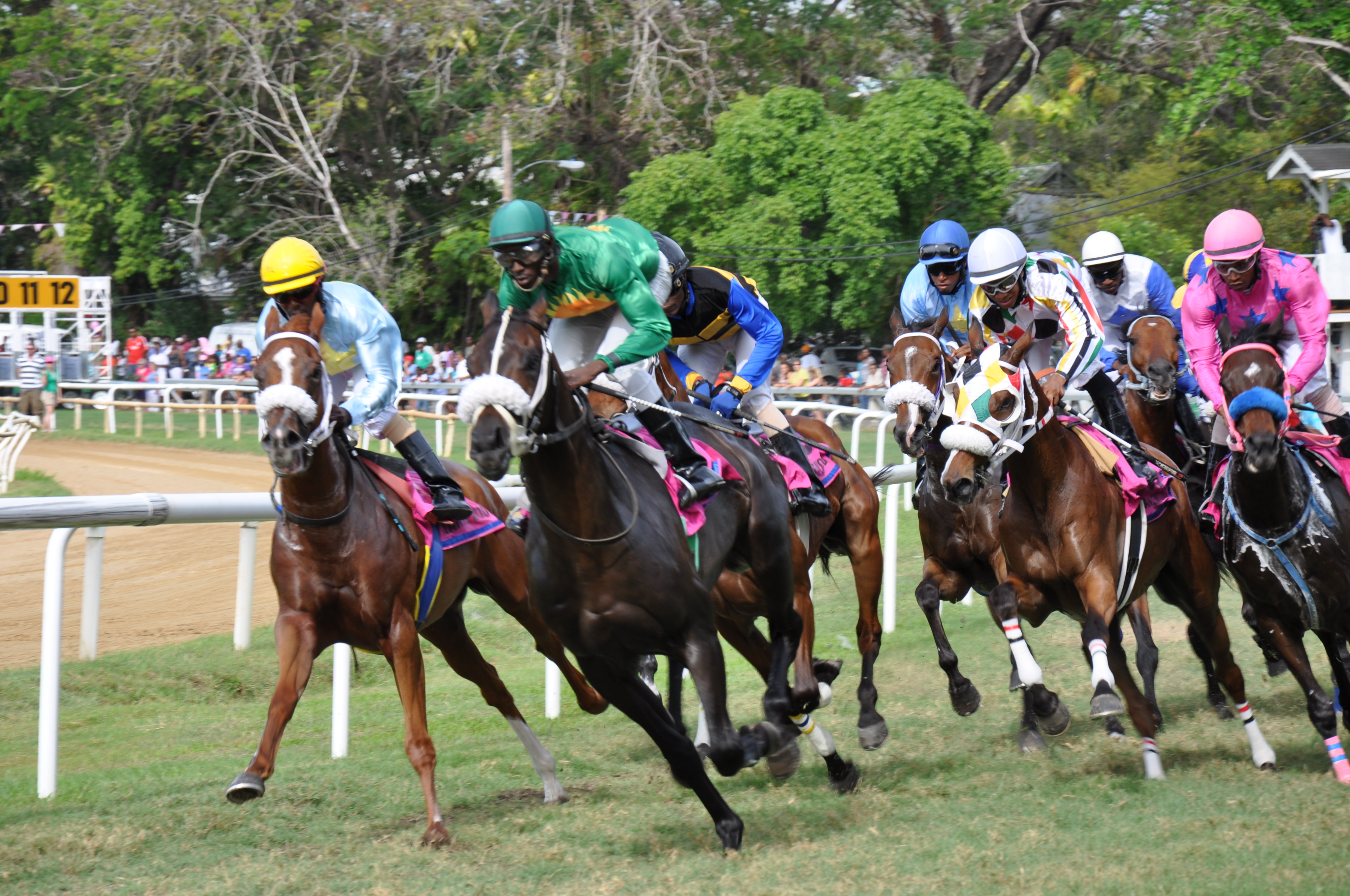 Night Racing at the Garrison 30th August. Horse Racing news from