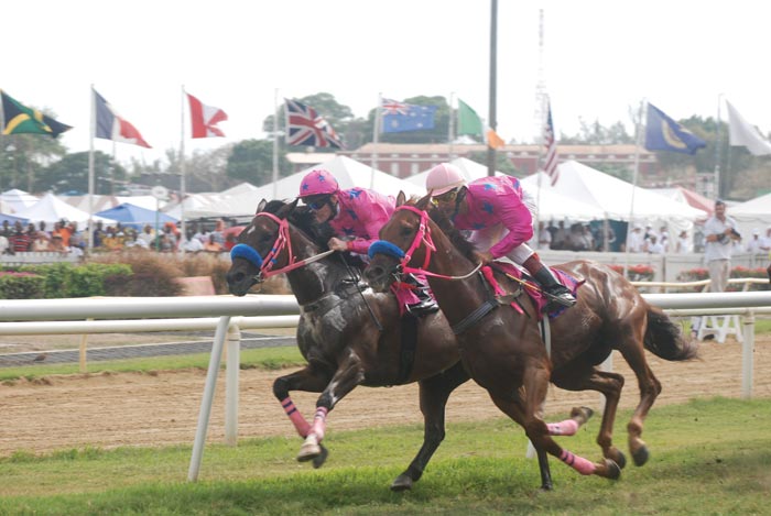 Barbados Gold Cup