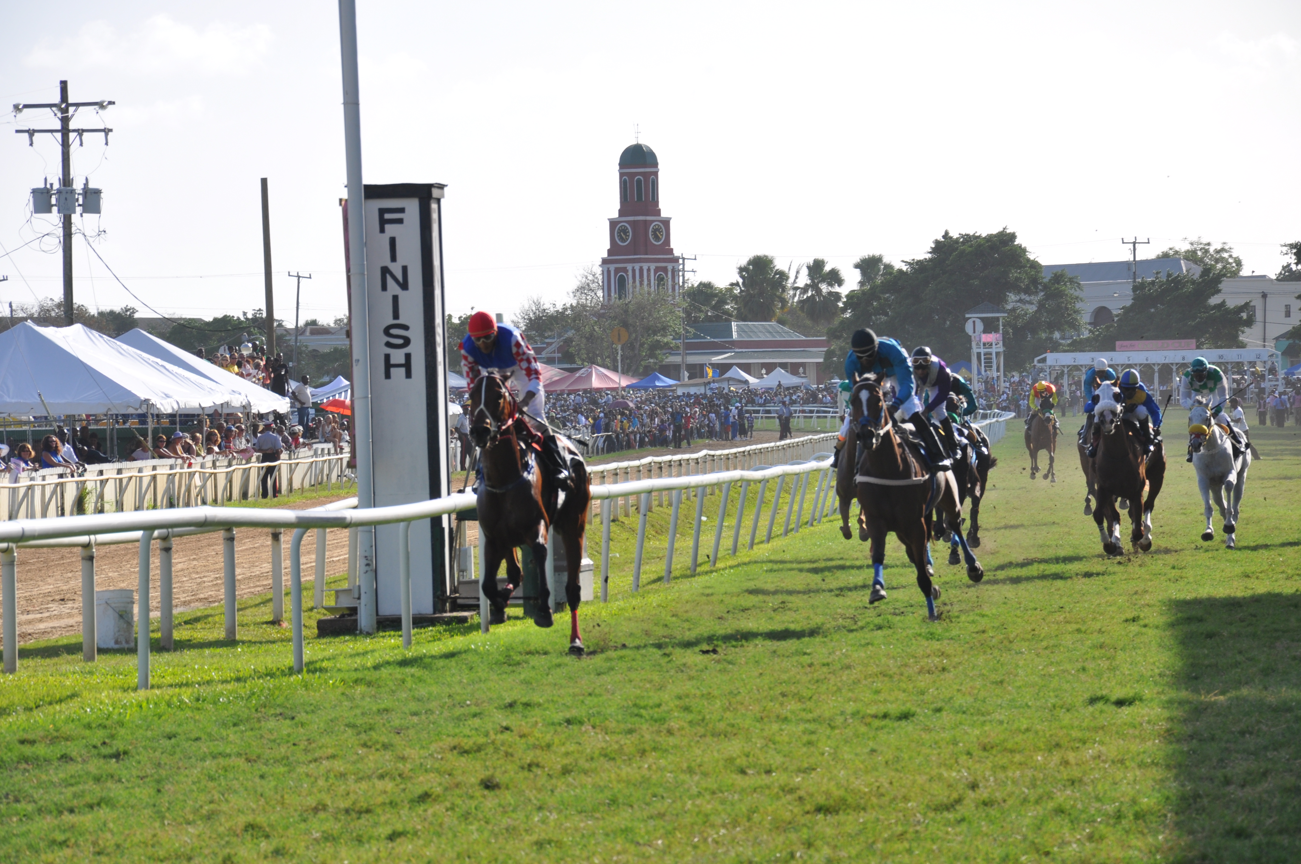 Horse Racing at the Garrison | Horse Racing | at Sporting Barbados